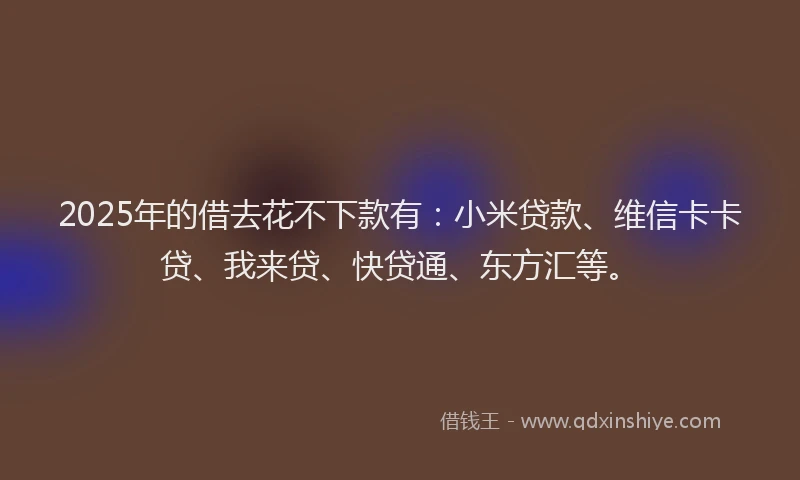 2025年的借去花不下款有：小米贷款、维信卡卡贷、我来贷、快贷通、东方汇等。