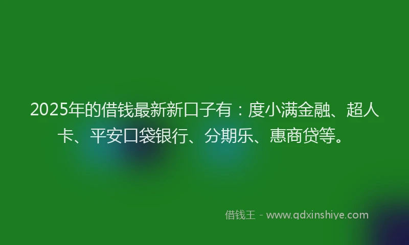 2025年的借钱最新新口子有：度小满金融、超人卡、平安口袋银行、分期乐、惠商贷等。