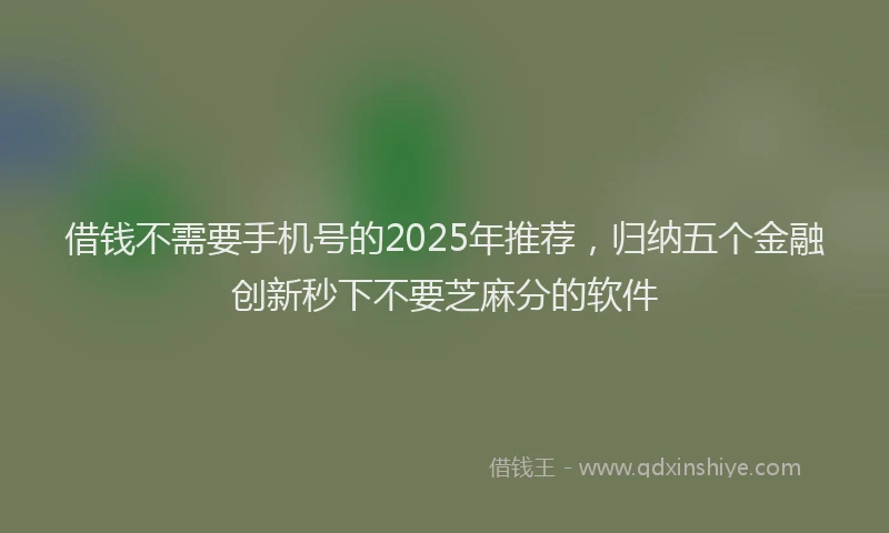 借钱不需要手机号的2025年推荐，归纳五个金融创新秒下不要芝麻分的软件