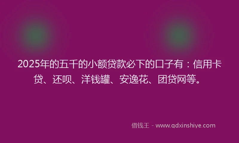 2025年的五千的小额贷款必下的口子有：信用卡贷、还呗、洋钱罐、安逸花、团贷网等。