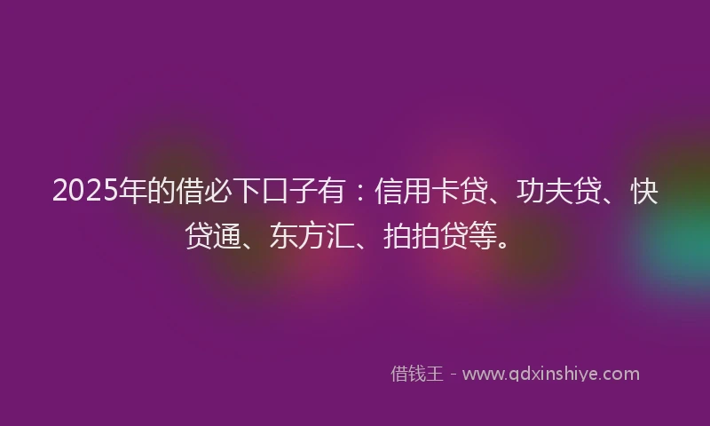 2025年的借必下口子有：信用卡贷、功夫贷、快贷通、东方汇、拍拍贷等。