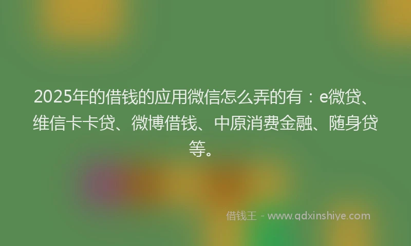 2025年的借钱的应用微信怎么弄的有：e微贷、维信卡卡贷、微博借钱、中原消费金融、随身贷等。