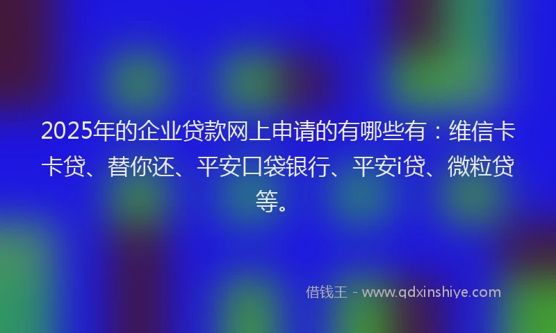 2025年的企业贷款网上申请的有哪些有：维信卡卡贷、替你还、平安口袋银行、平安i贷、微粒贷等。
