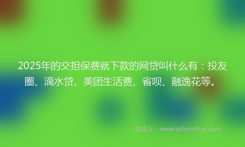 2025年的交担保费就下款的网贷叫什么有：投友圈、滴水贷、美团生活费、省呗、融逸花等。