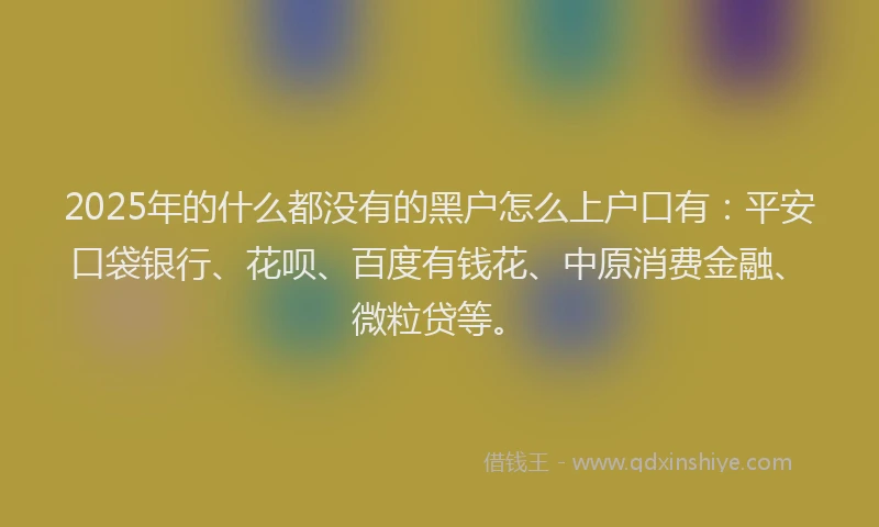 2025年的什么都没有的黑户怎么上户口有：平安口袋银行、花呗、百度有钱花、中原消费金融、微粒贷等。