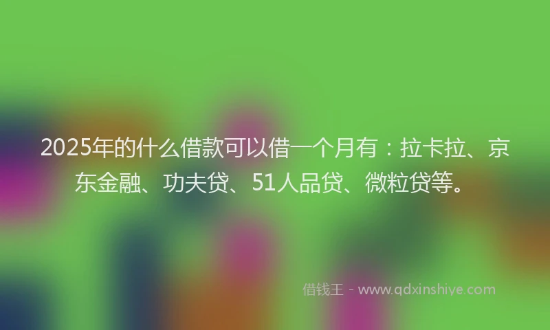 2025年的什么借款可以借一个月有：拉卡拉、京东金融、功夫贷、51人品贷、微粒贷等。