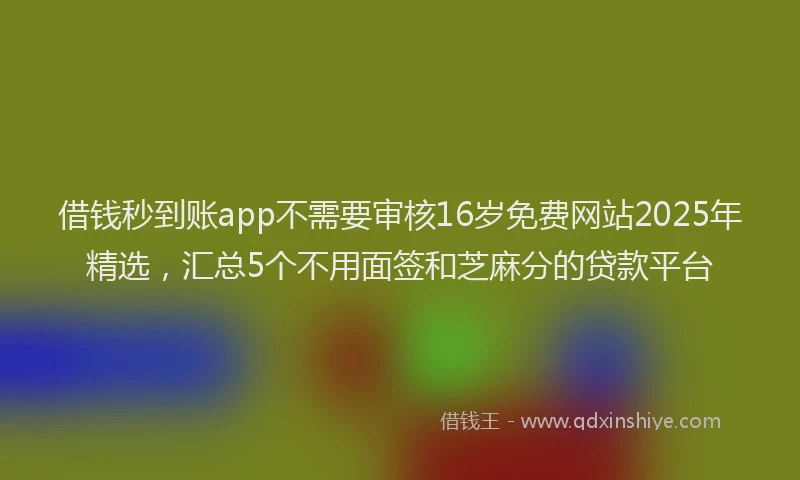借钱秒到账app不需要审核16岁免费网站2025年精选，汇总5个不用面签和芝麻分的贷款平台