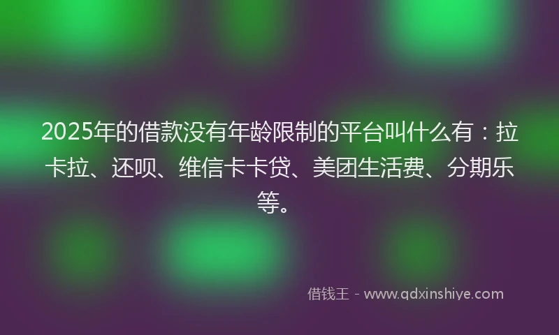 2025年的借款没有年龄限制的平台叫什么有：拉卡拉、还呗、维信卡卡贷、美团生活费、分期乐等。