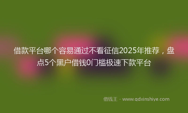 借款平台哪个容易通过不看征信2025年推荐，盘点5个黑户借钱0门槛极速下款平台