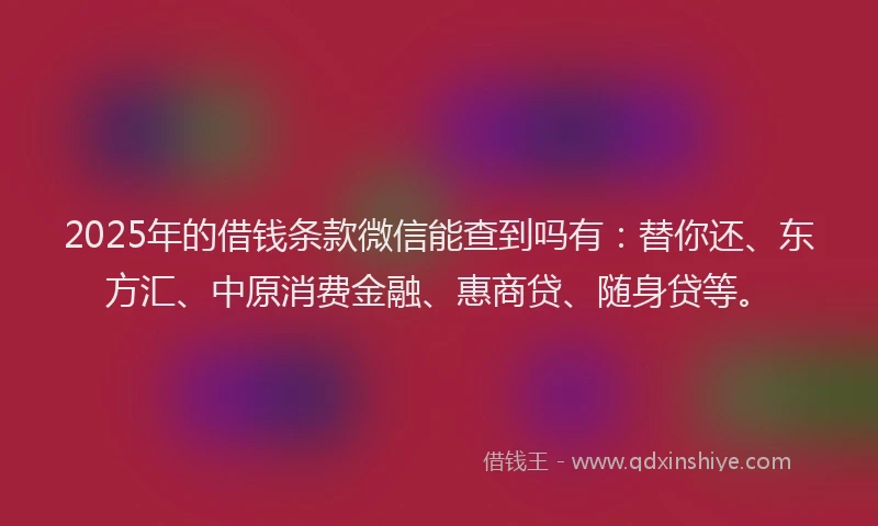 2025年的借钱条款微信能查到吗有：替你还、东方汇、中原消费金融、惠商贷、随身贷等。