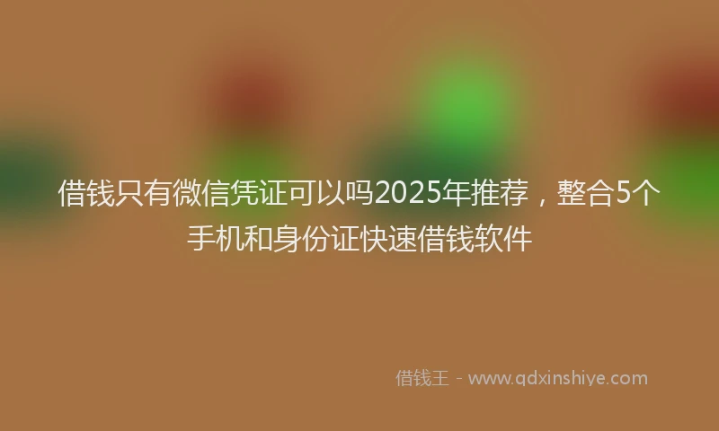 借钱只有微信凭证可以吗2025年推荐，整合5个手机和身份证快速借钱软件