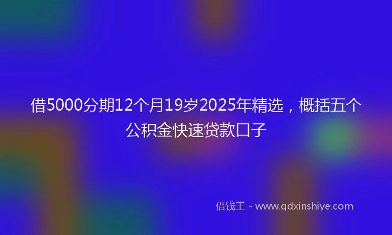 借5000分期12个月19岁2025年精选，概括五个公积金快速贷款口子