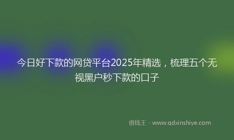 今日好下款的网贷平台2025年精选，梳理五个无视黑户秒下款的口子