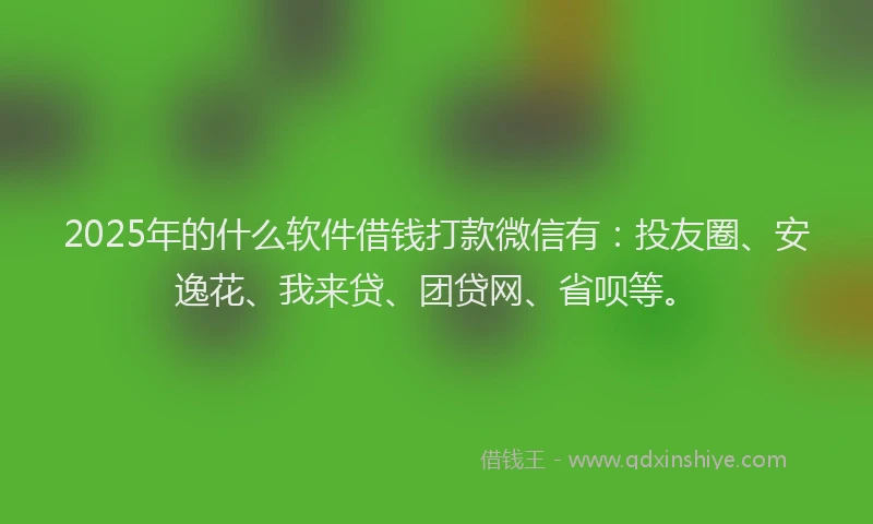 2025年的什么软件借钱打款微信有：投友圈、安逸花、我来贷、团贷网、省呗等。