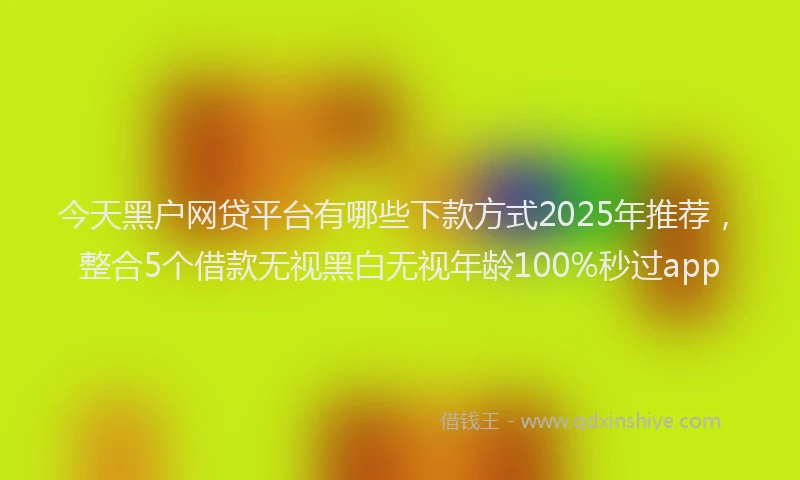 今天黑户网贷平台有哪些下款方式2025年推荐，整合5个借款无视黑白无视年龄100%秒过app