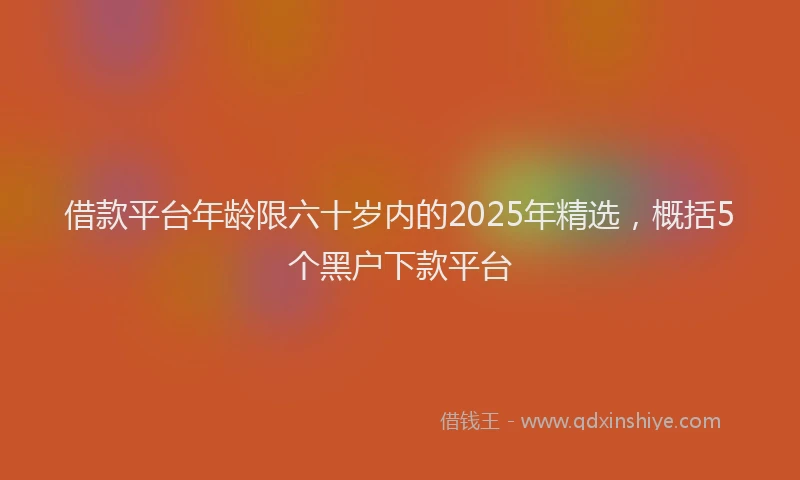 借款平台年龄限六十岁内的2025年精选，概括5个黑户下款平台
