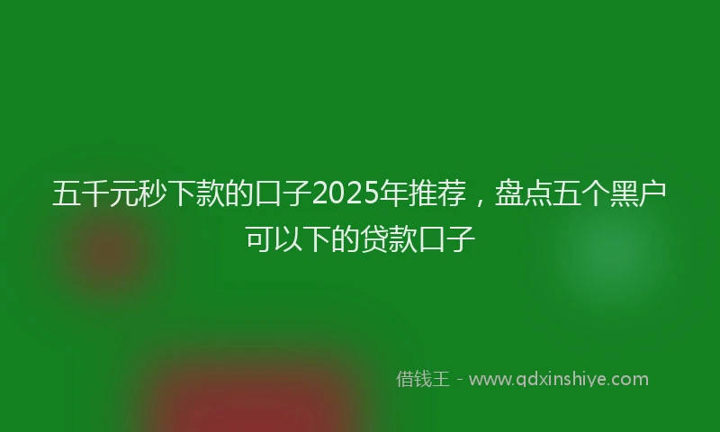 五千元秒下款的口子2025年推荐，盘点五个黑户可以下的贷款口子
