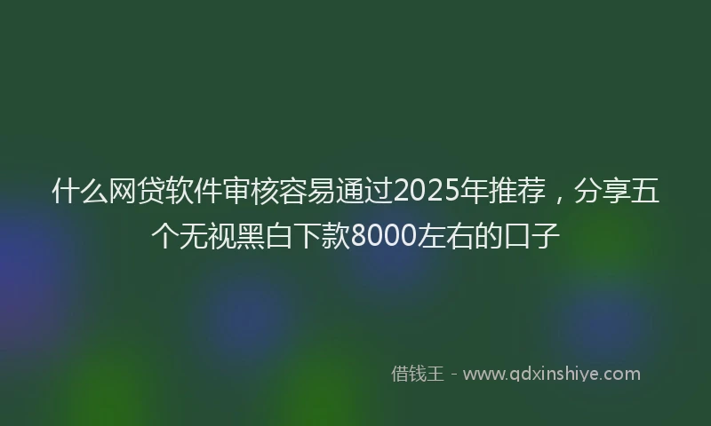 什么网贷软件审核容易通过2025年推荐，分享五个无视黑白下款8000左右的口子
