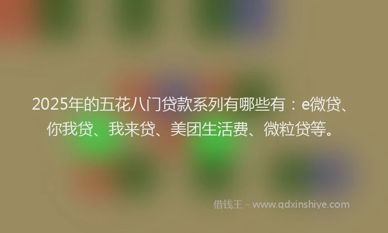 2025年的五花八门贷款系列有哪些有：e微贷、你我贷、我来贷、美团生活费、微粒贷等。