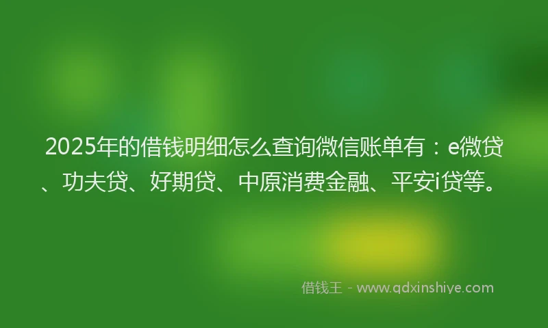 2025年的借钱明细怎么查询微信账单有：e微贷、功夫贷、好期贷、中原消费金融、平安i贷等。