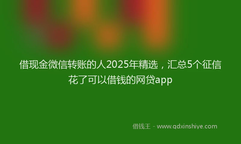 借现金微信转账的人2025年精选，汇总5个征信花了可以借钱的网贷app
