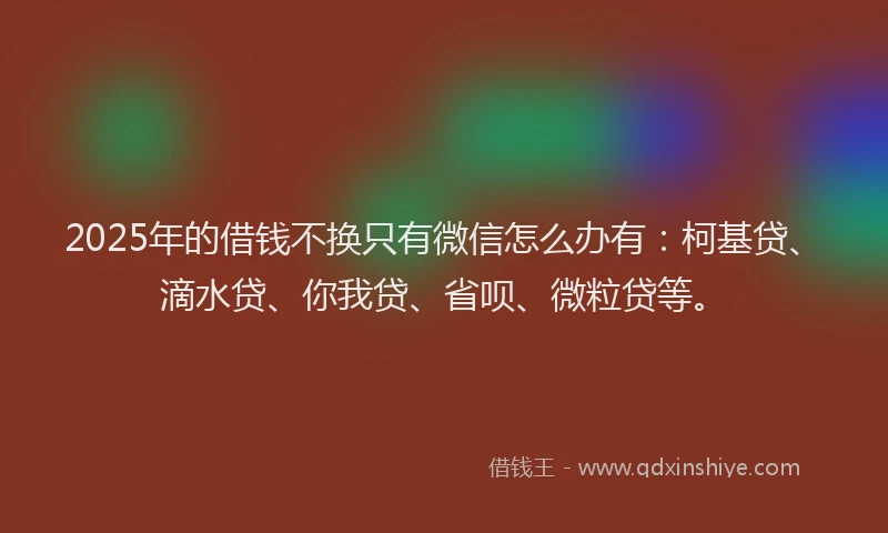 2025年的借钱不换只有微信怎么办有：柯基贷、滴水贷、你我贷、省呗、微粒贷等。