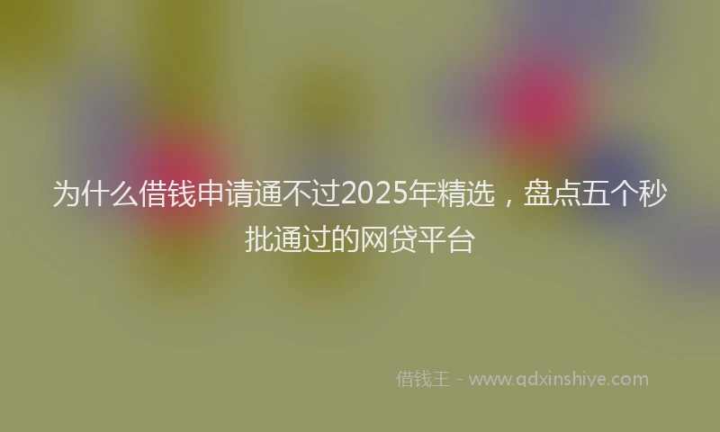为什么借钱申请通不过2025年精选，盘点五个秒批通过的网贷平台