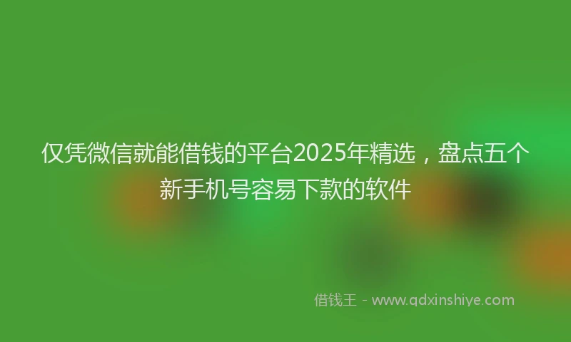 仅凭微信就能借钱的平台2025年精选，盘点五个新手机号容易下款的软件
