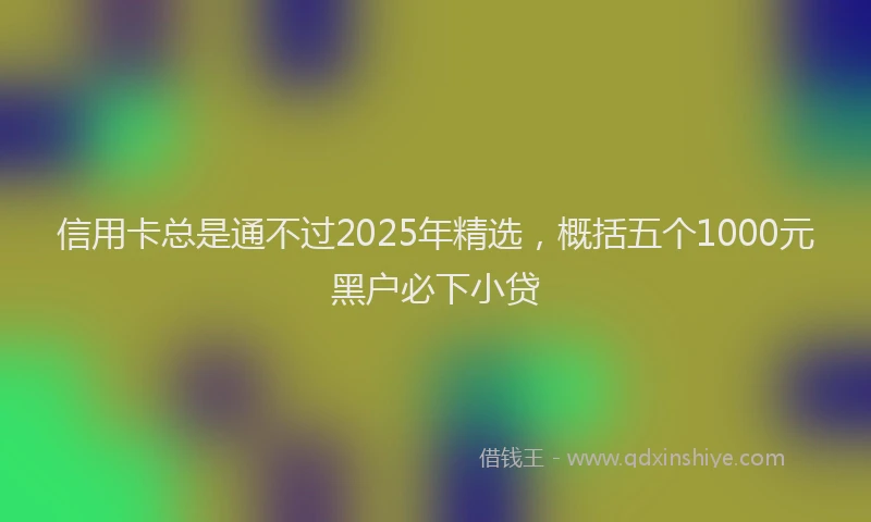 信用卡总是通不过2025年精选，概括五个1000元黑户必下小贷