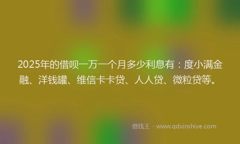 2025年的借呗一万一个月多少利息有：度小满金融、洋钱罐、维信卡卡贷、人人贷、微粒贷等。