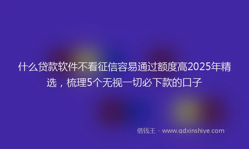 什么贷款软件不看征信容易通过额度高2025年精选，梳理5个无视一切必下款的口子