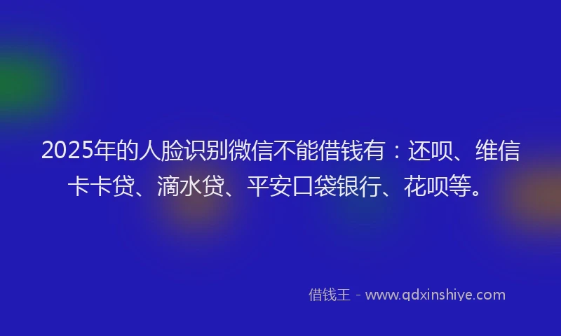2025年的人脸识别微信不能借钱有：还呗、维信卡卡贷、滴水贷、平安口袋银行、花呗等。