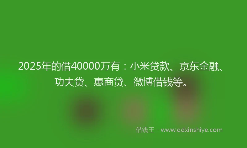 2025年的借40000万有：小米贷款、京东金融、功夫贷、惠商贷、微博借钱等。