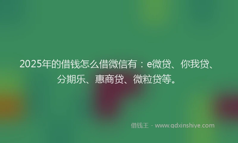 2025年的借钱怎么借微信有：e微贷、你我贷、分期乐、惠商贷、微粒贷等。