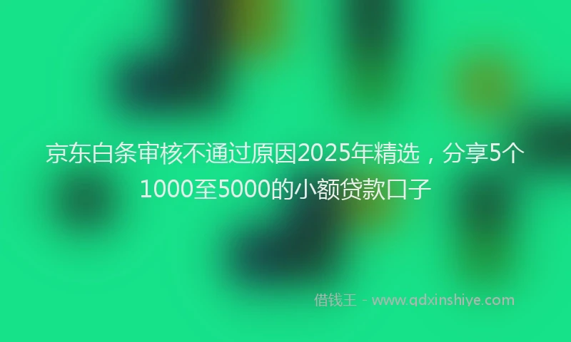 京东白条审核不通过原因2025年精选，分享5个1000至5000的小额贷款口子