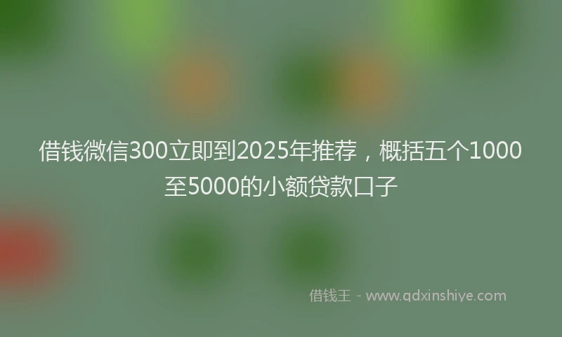 借钱微信300立即到2025年推荐，概括五个1000至5000的小额贷款口子