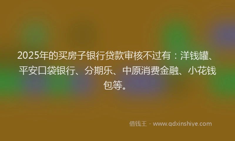 2025年的买房子银行贷款审核不过有：洋钱罐、平安口袋银行、分期乐、中原消费金融、小花钱包等。