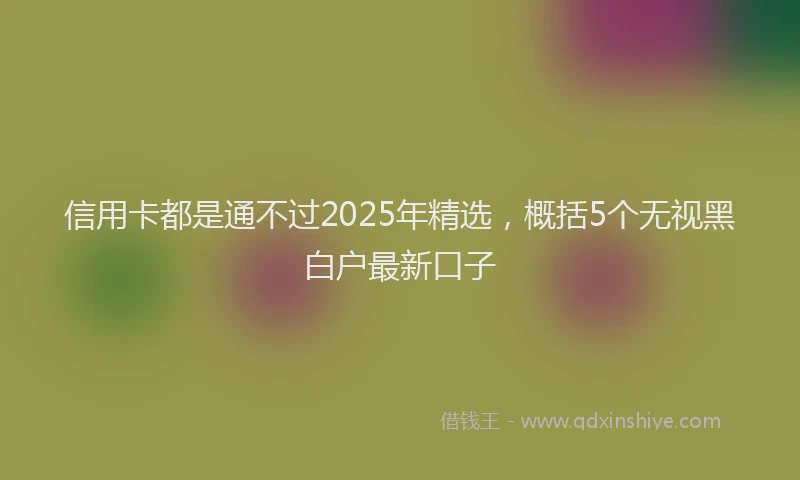 信用卡都是通不过2025年精选，概括5个无视黑白户最新口子