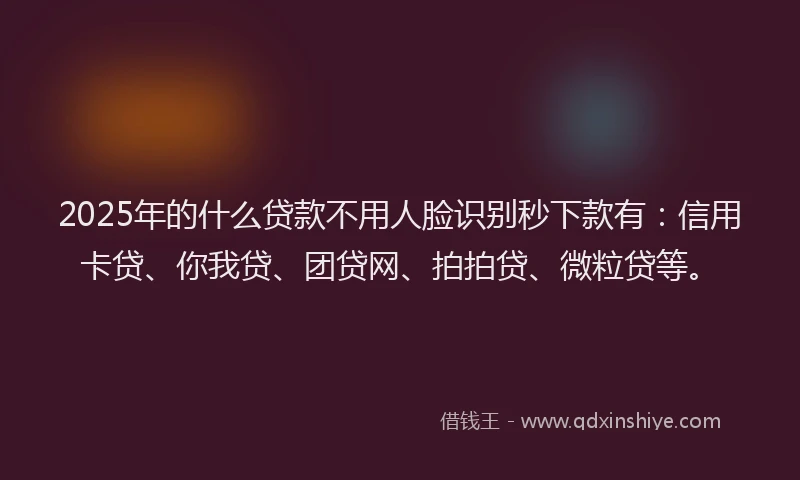 2025年的什么贷款不用人脸识别秒下款有：信用卡贷、你我贷、团贷网、拍拍贷、微粒贷等。