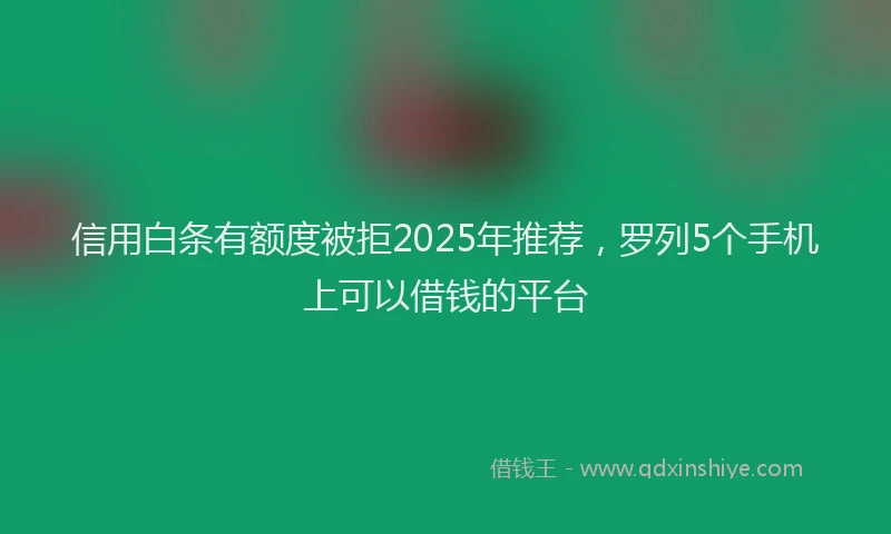 信用白条有额度被拒2025年推荐，罗列5个手机上可以借钱的平台