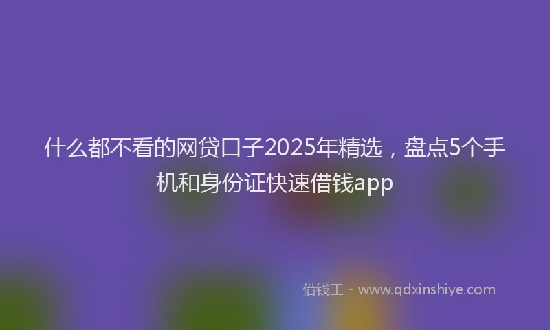 什么都不看的网贷口子2025年精选，盘点5个手机和身份证快速借钱app