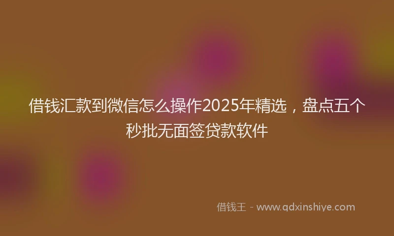 借钱汇款到微信怎么操作2025年精选，盘点五个秒批无面签贷款软件