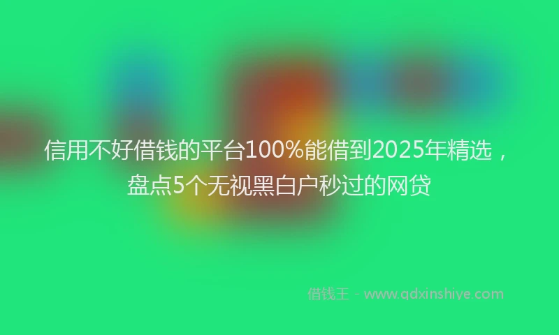 信用不好借钱的平台100%能借到2025年精选，盘点5个无视黑白户秒过的网贷