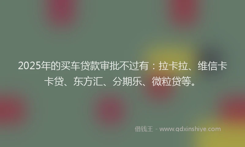 2025年的买车贷款审批不过有：拉卡拉、维信卡卡贷、东方汇、分期乐、微粒贷等。