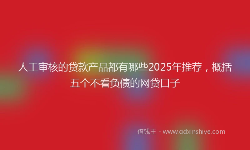 人工审核的贷款产品都有哪些2025年推荐，概括五个不看负债的网贷口子