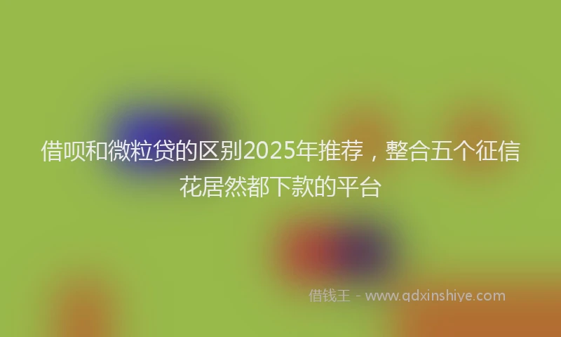 借呗和微粒贷的区别2025年推荐，整合五个征信花居然都下款的平台