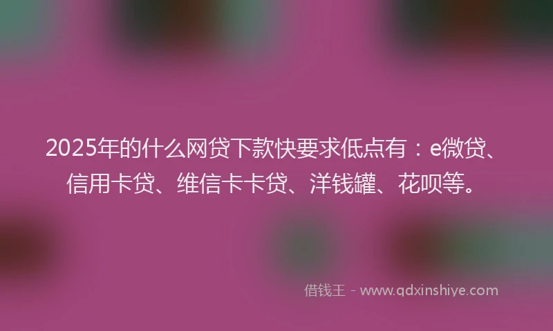 2025年的什么网贷下款快要求低点有：e微贷、信用卡贷、维信卡卡贷、洋钱罐、花呗等。