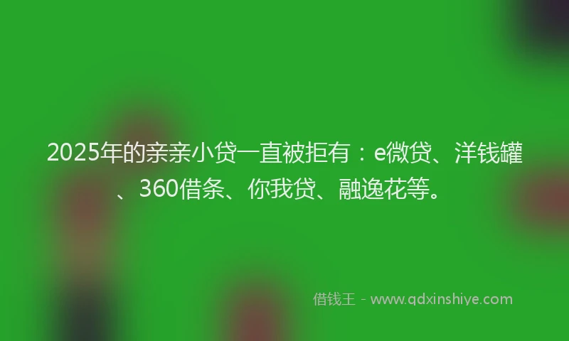 2025年的亲亲小贷一直被拒有：e微贷、洋钱罐、360借条、你我贷、融逸花等。