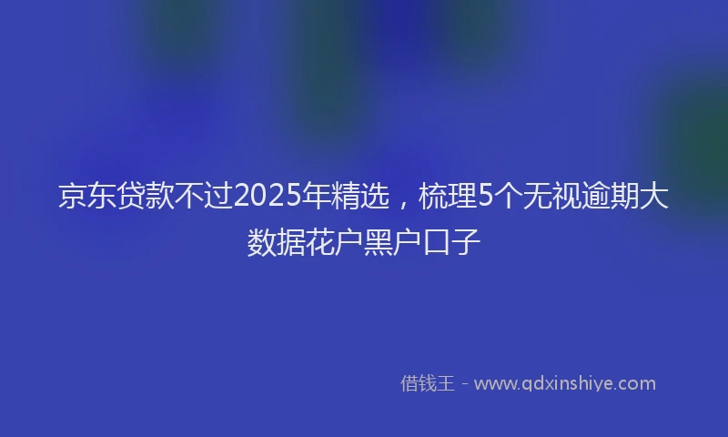 京东贷款不过2025年精选，梳理5个无视逾期大数据花户黑户口子