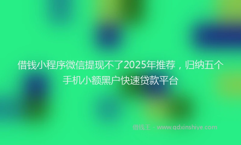 借钱小程序微信提现不了2025年推荐，归纳五个手机小额黑户快速贷款平台
